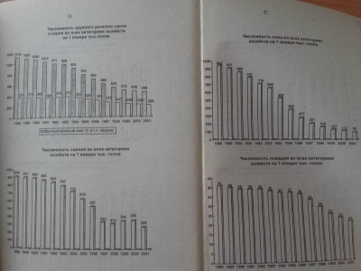 Статистика 2000-х.: фотография 6