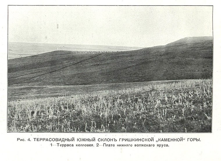 Бузулукский уезд 1916. С. Неустроев. Лист 11