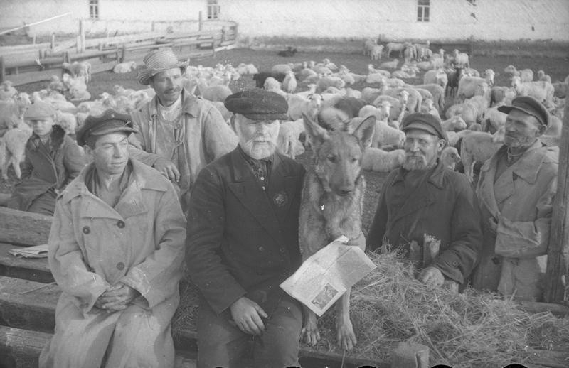 Чабаны.В центре орденоносец товарищ Малыхин.