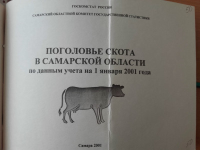 Статистика 2000-х.: фотография 5