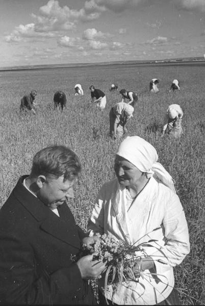 Сортовая прополка. На первом плане – председатель колхоза товарищ Лукьянов и стахановка Мизенкова