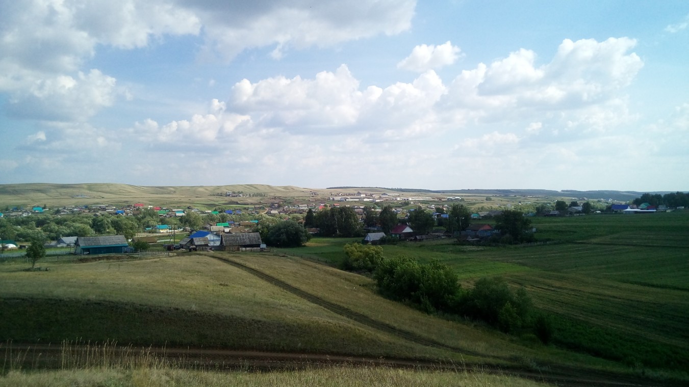 Село большое Микушкино Самарская область