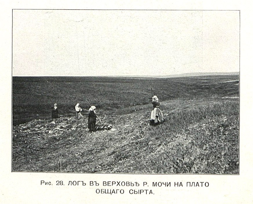 Бузулукский уезд 1916. С. Неустроев. Лист 7