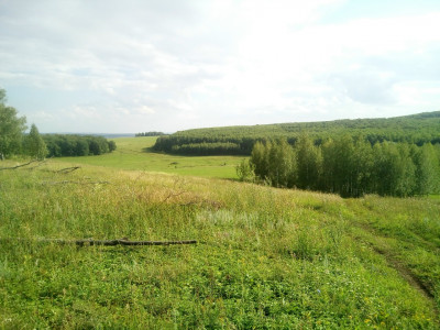 ЛЕС ЧЕМБУЛАТ (БОЛЬШЕМИКУШКИНСКАЯ ДУБРАВА).: фотография 2