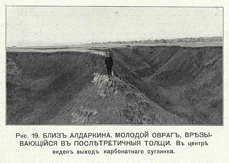 Бузулукский уезд 1916. С. Неустроев. Лист 6